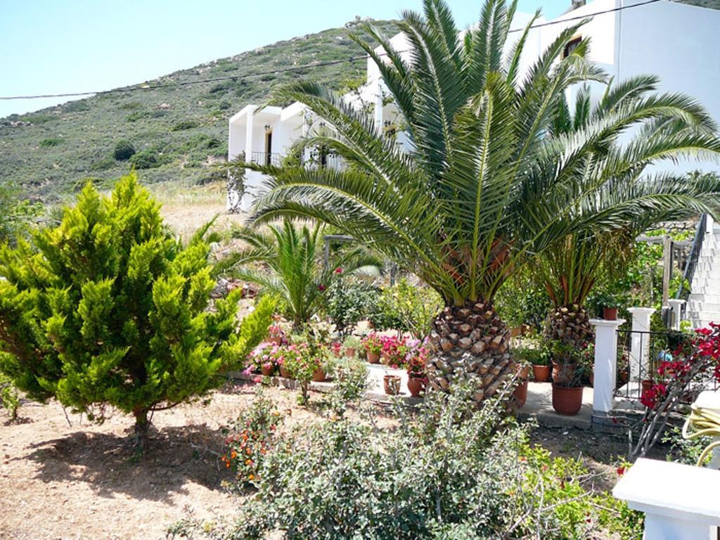 Hotel Porto Potha Telendos Exterior photo